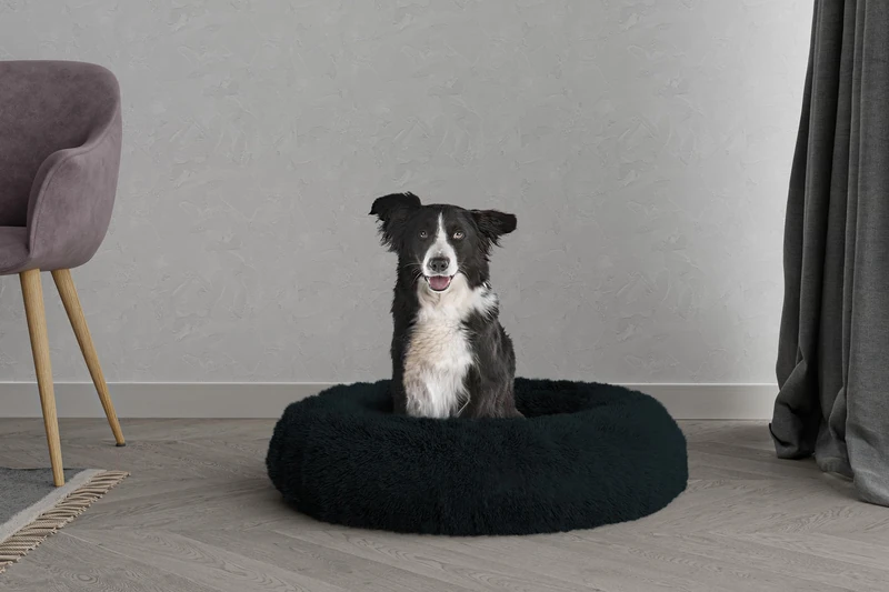 DREAMS Pet Bed Dreams and Caprices Pets, Soft Polyester, Petroleum, 70 x 70 cm