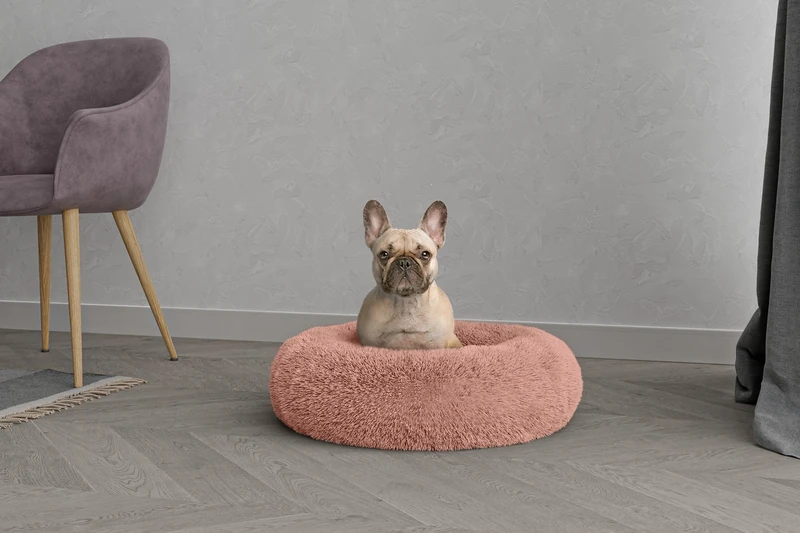 Dreams Pet Bed Dreams and Caprices Pets, Soft Polyester, Pink, 60 x 60 cm