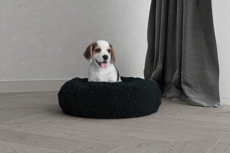 DREAMS Pet Bed Dreams and Caprices Pets, Soft Polyester, Petroleum, 50 x 50 cm