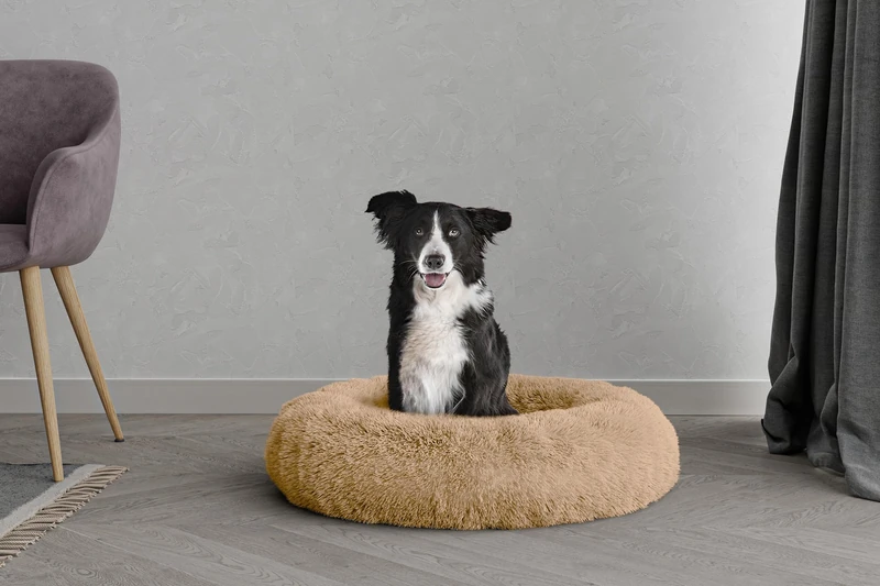 Dreams Pet Bed Dreams and Caprices Pets, Soft Polyester, Vanilla, 70 x 70 cm