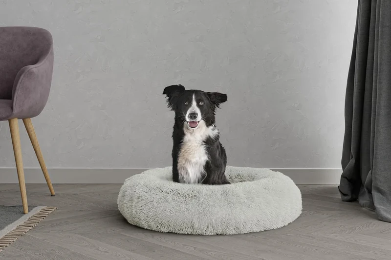 DREAMS Pet Bed Dreams and Caprices Pets, Soft Polyester, Cream, 70 x 70 cm
