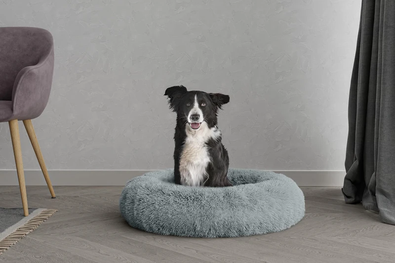Dreams Pet Bed Dreams and Caprices Pets, Soft Polyester, Pearl, 70 x 70 cm
