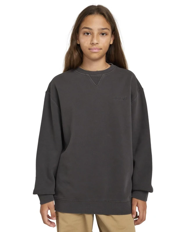 Element Sweatshirt LOWCASE PIGMENT CR Y Boys Black XL/16 - Image 1