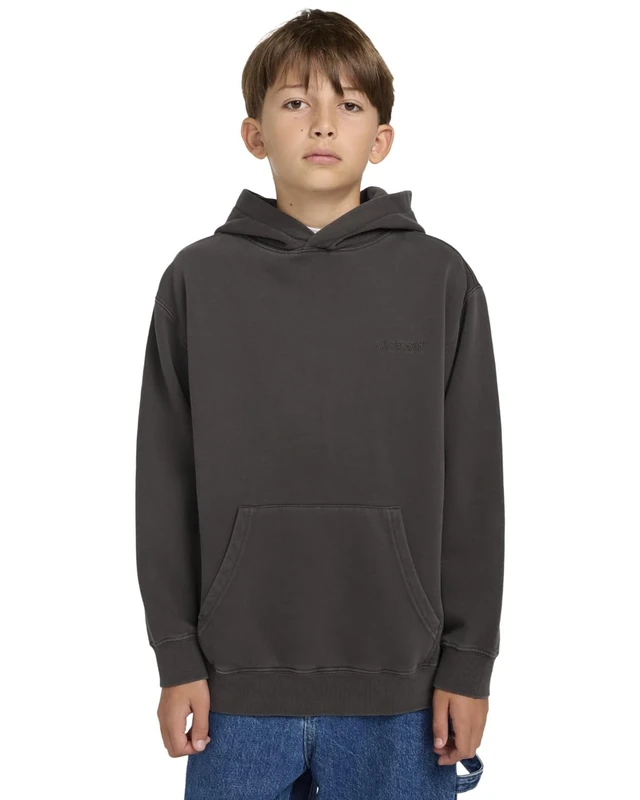 Element Pullover Hoodie LOWCASE PIGMENT PO Y Boy's Black L/14