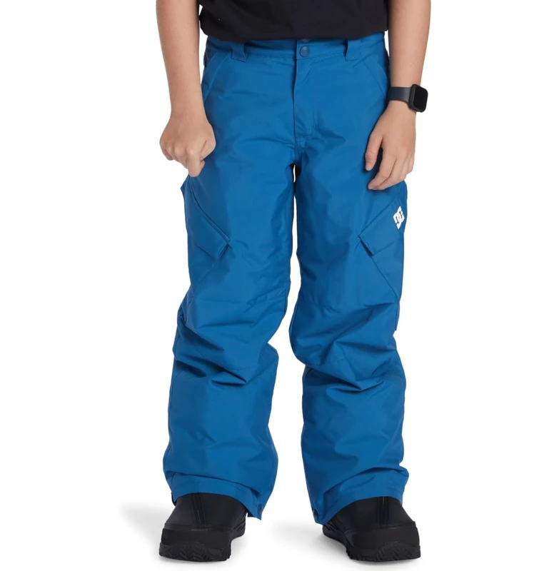 Dcshoes Technical Snow Pants BANSHEE YOUTH PANT Boys 8-16 Blue 16/XL