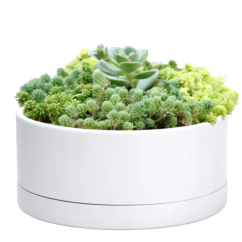 D'vine Dev 10 Inch Plastic Shallow Planter, Large Round Succulent Plant Pot with Drainage Hole and Sauce, Decorative Bonsai Pot for Indoor Plants, White, 76-Z-A-2