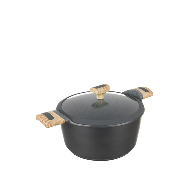 Evolution 20 cm Saucepan with Lid