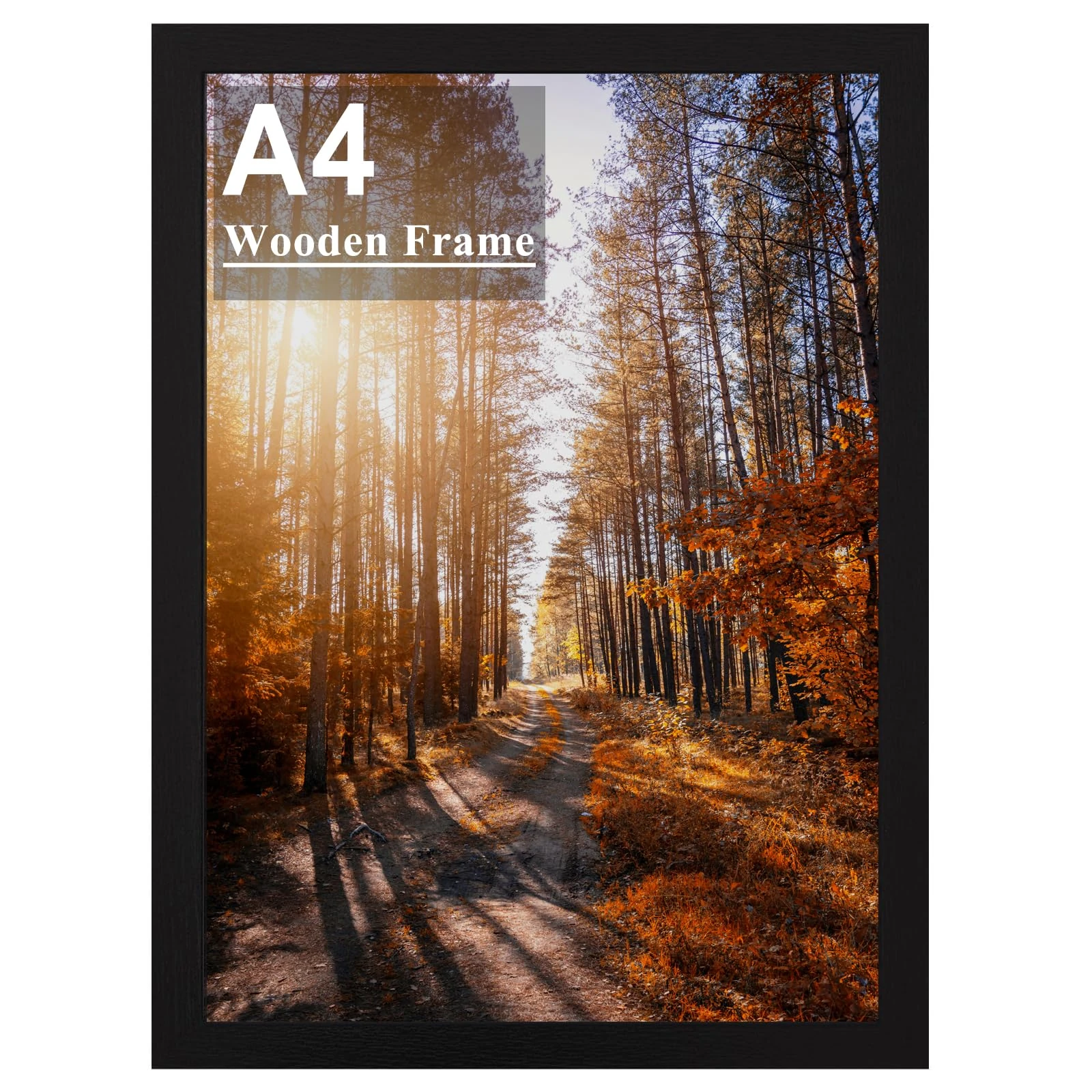 A4 Picture Frame, Wooden Photo Frame, Versatile Black Frame with Safe Perspex Front & Wall Hanging Hooks - For Display, Landscape or Portrait Orientation, Wall-Mount & Desk Stand