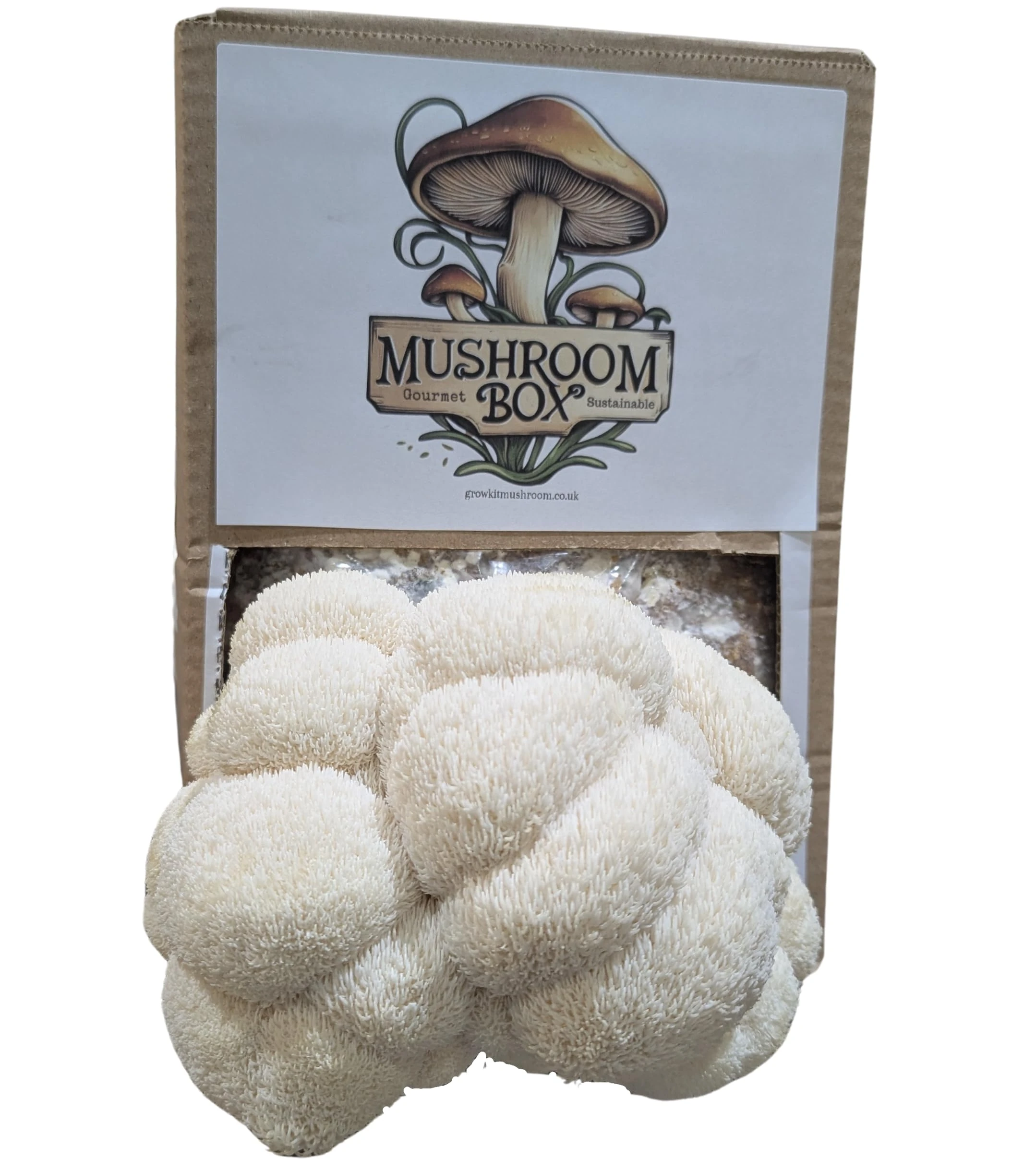Lions Mane Mushroom Grow Kit (Hericium erinaceus) - | Grow Your own |Fresh Mushrooms | Delicious with Soy Sauce | Lions Mane Supplement | Nutrition Geeks |1.8KG