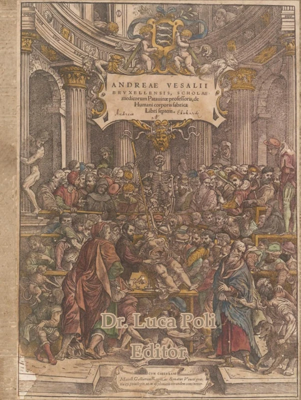 Andreae Vesalii Bruxellensis, scholae medicorum Patavinae professoris, de Humani corporis fabrica Libri septem Dr Luca Poli Editor