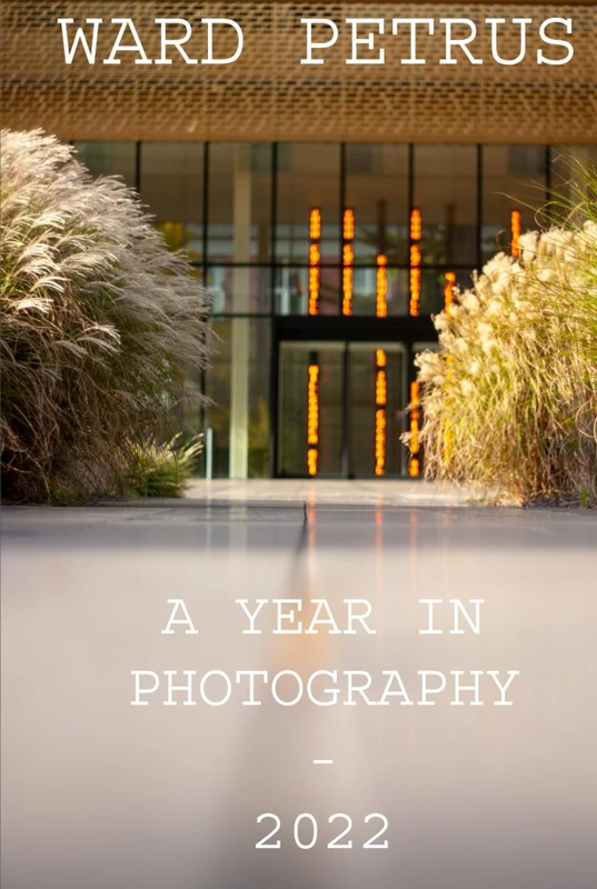 A year in photography: 2022