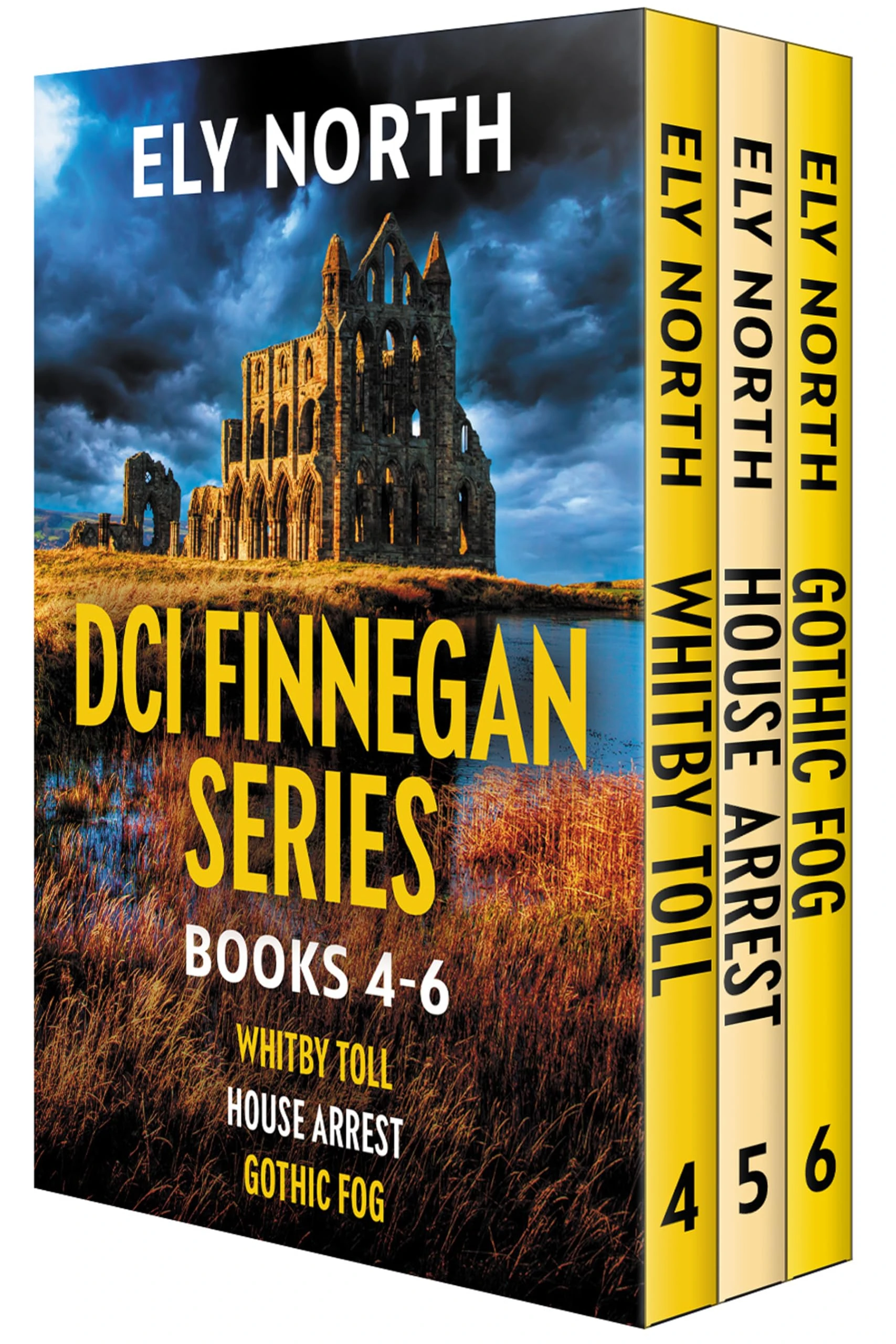 DCI Finnegan Series: Books 4 - 6 in the intoxicating and enthralling Yorkshire crime thrillers! (A DCI Finnegan Yorkshire Crime Thriller Book 14)