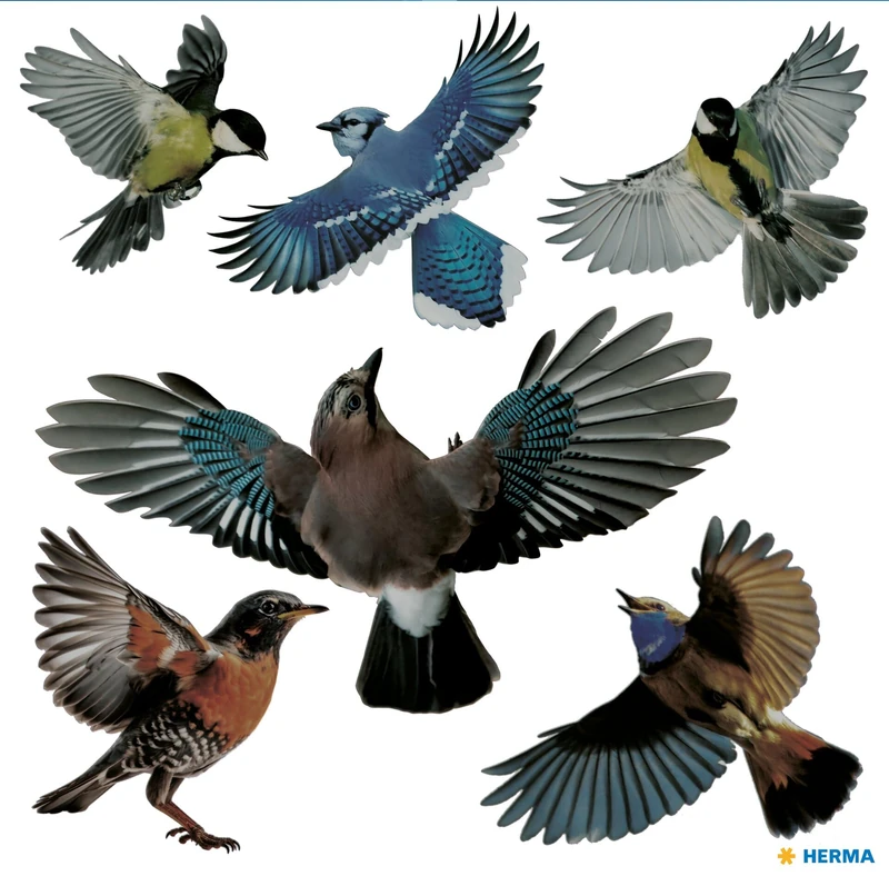 HERMA 15539 Warning Bird Sticker Set - 2400 Pieces for Windows - Image 1