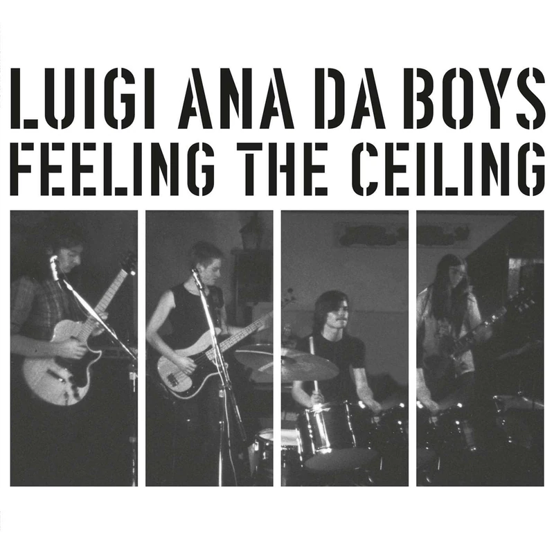 Feeling The Ceiling [VINYL]
