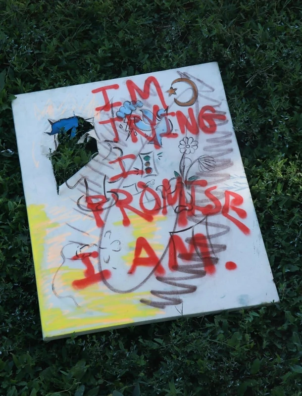 I'm Trying I promise - Arts and Photography Book