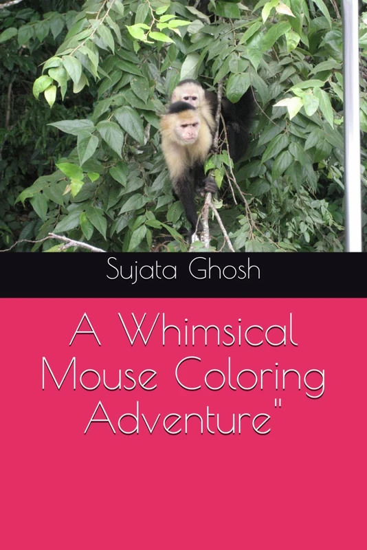 A Whimsical Mouse Coloring Adventure"