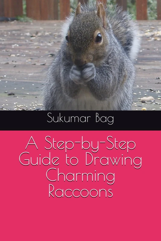 A Step-by-Step Guide to Drawing Charming Raccoons: Raccoon sketch