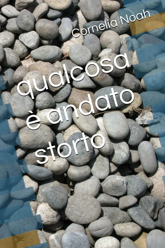 qualcosa è andato storto