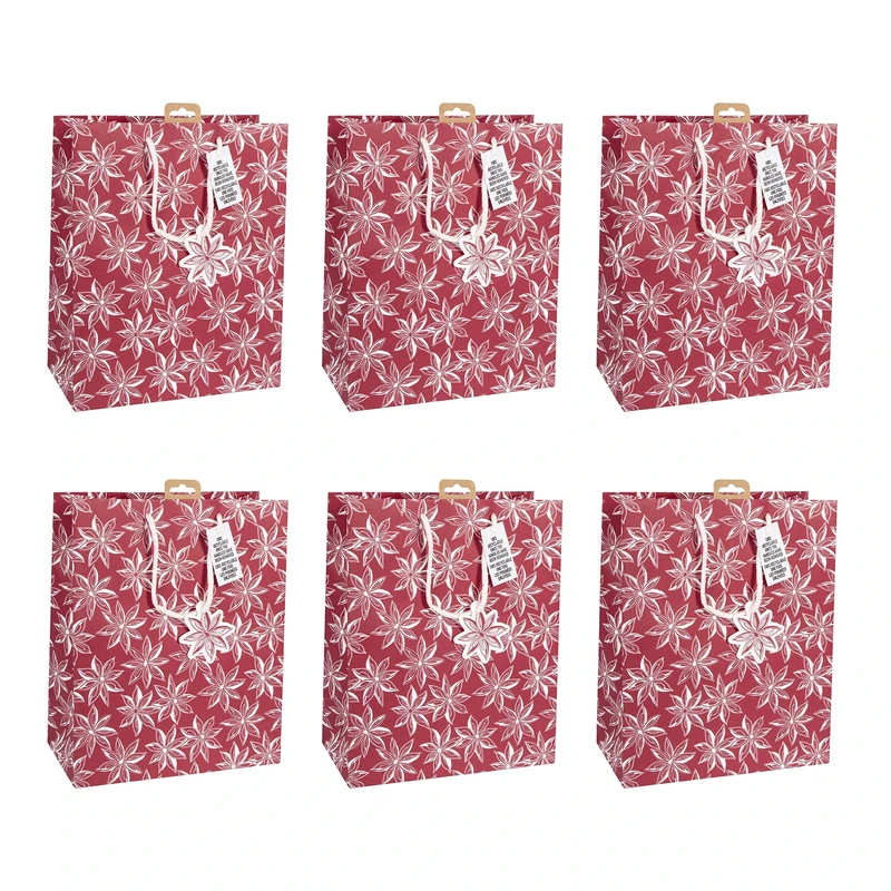 Clairefontaine X-32781-2Cpack - Set of 6 White Kraft Gift Bags - Large - 26,5x14x33 cm - 210g - Motif: Citrus fruits - Gift wrapping, Ideal for games, Puzzles