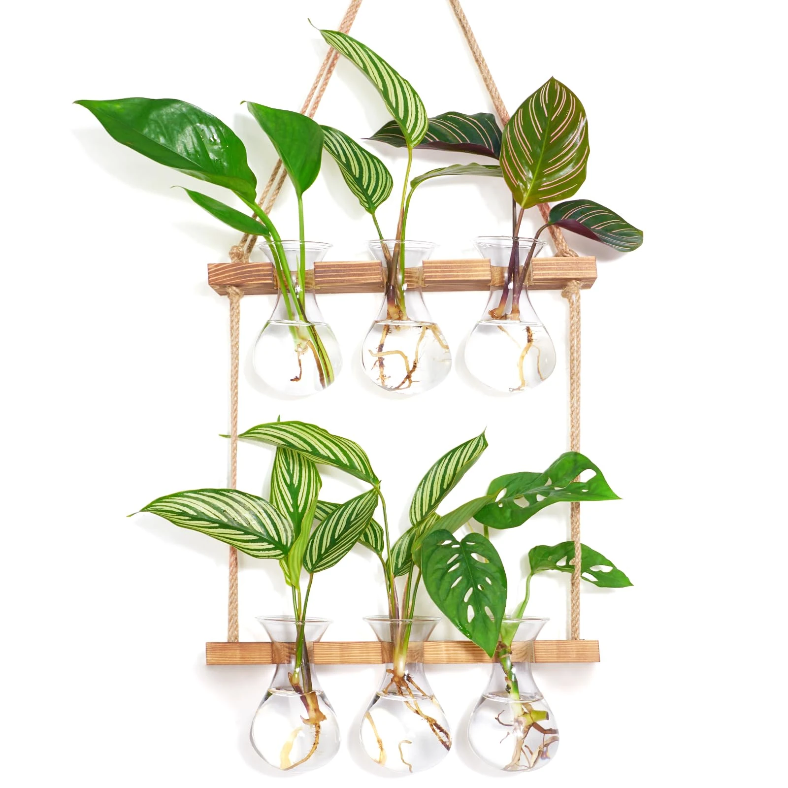 XXXFLOWER Wall Hanging Plant Propagation Station with Wooden Stand 3 Bulb Vase 2 Tiered Glass Planter Stations for Hydroponic Plant Cuttings Home Garden Wedding Decoration