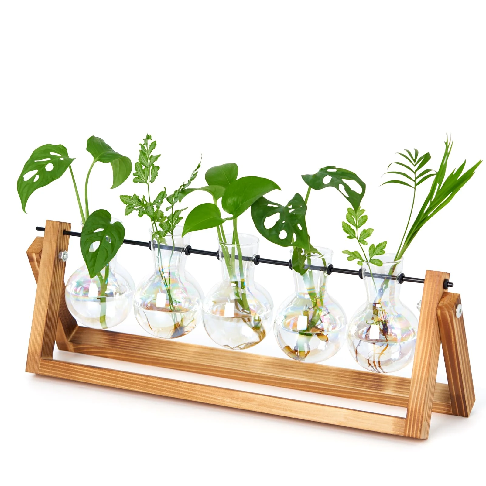 XXXFLOWER Desktop Propagation Station Propagators for Plants Cuttings Glass Plant Bulb Vase with Wooden Stand Glass Plant Pot and Metal Swivel Holder for Indoor Home Garden Wedding Décor (5 Bulbs)