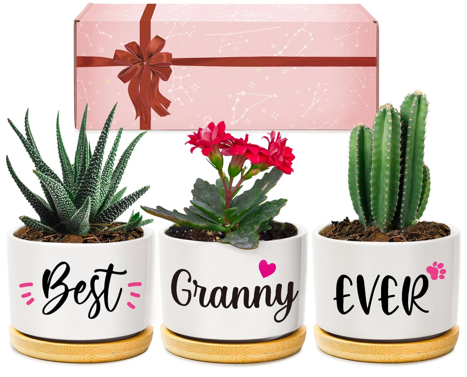 Giftasy Granny Gifts, Granny Christmas Birthday Gifts, Best Granny Ever Succulent Pots Gifts for Granny from Grandchildren, Unique Garden Gift Ideas for Granny on Birthday Christmas Mothers Day