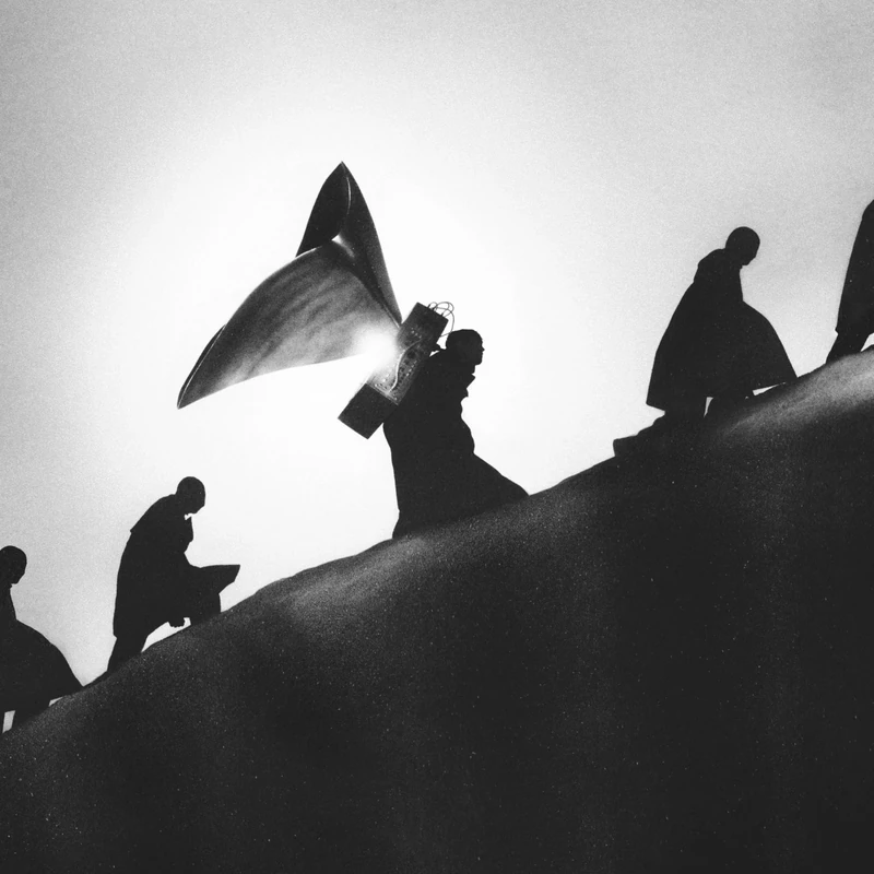 Playing Robots Into Heaven [VINYL]