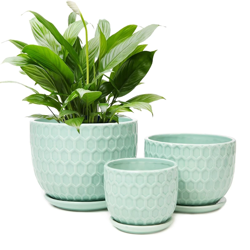 Nattol Ceramic Flower Pots with Drainage Hole and Saucer, Modern Round Succulent Planters with Honeycomb Inspired Texture Design, Small to Medium Sized, Set of 3, Green