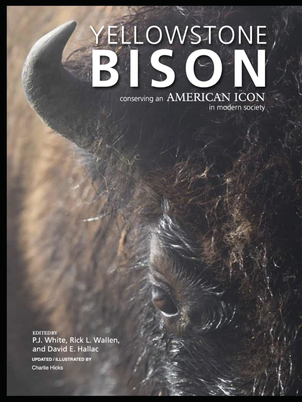 YELLOWSTONE BISON (Illustrated): Conserving an American Icon in Modern Society