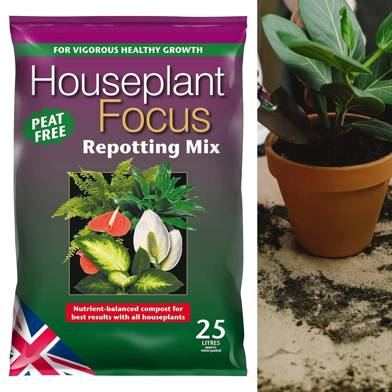 Peat Free Compost for Indoor Plants - 25 Litres - Houseplant Focus Repotting Mix Soil - For Vigorous Healthy Growth