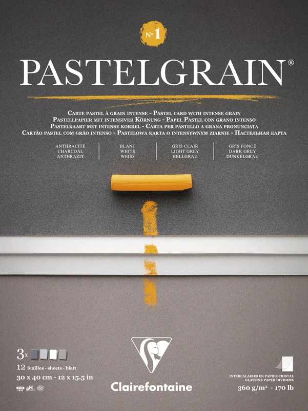 Clairefontaine 976059C Bloc Collé PastelGrain n°1-12 Feuilles Carte Spéciale Pour Pastels Secs - 30x40 cm 360g - Assorti teintes grises - Intercalaires en Papier Cristal