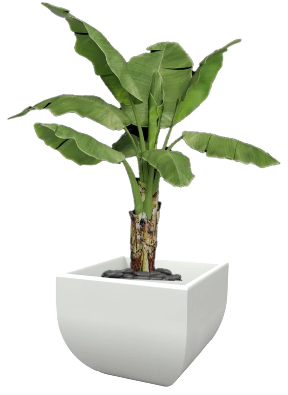 Kloris Vase, Polyethylene (PE), White, 50x50