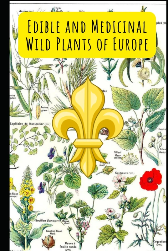 Edible and Medicinal Wild Plants of Europe