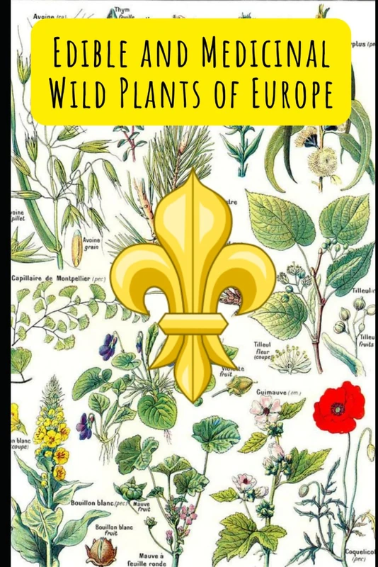 Edible and Medicinal Wild Plants of Europe - Image 1