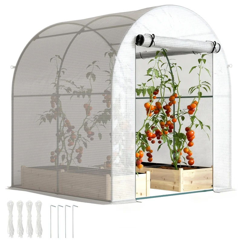 Outsunny Walk in Polytunnel Greenhouse, Tomato Greenhouse with Roll-up Window and Door, PE Cover, Steel Frame for Garden, 1.8 x 1.8 x 2 m, White
