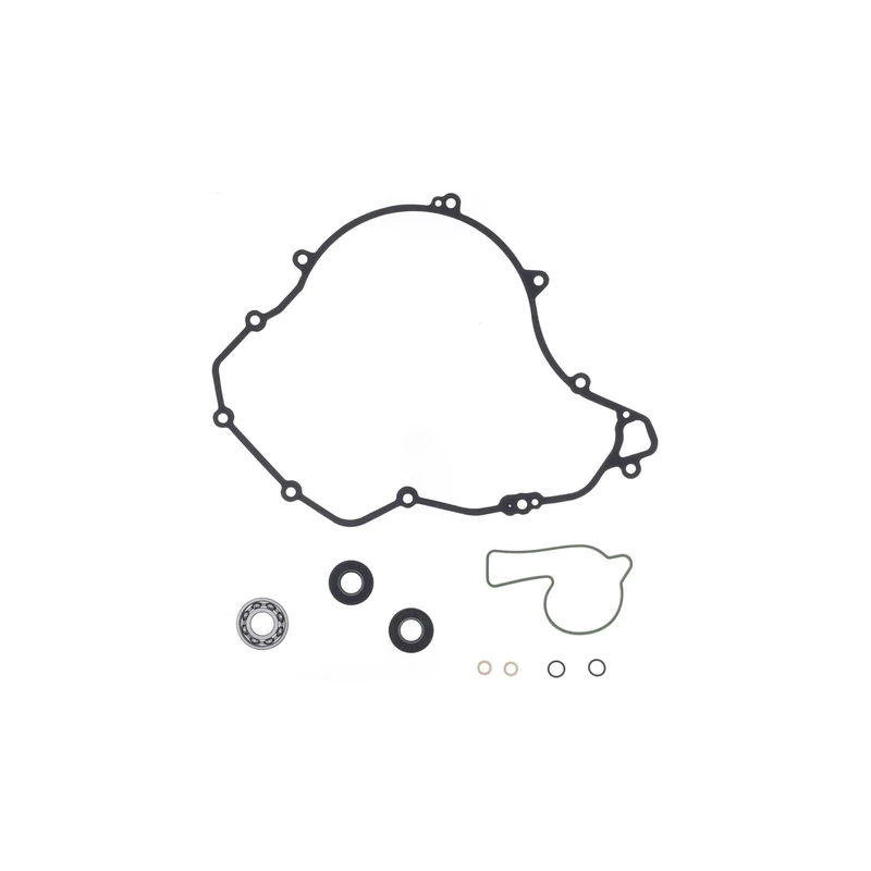 Athena Water pump repair kit