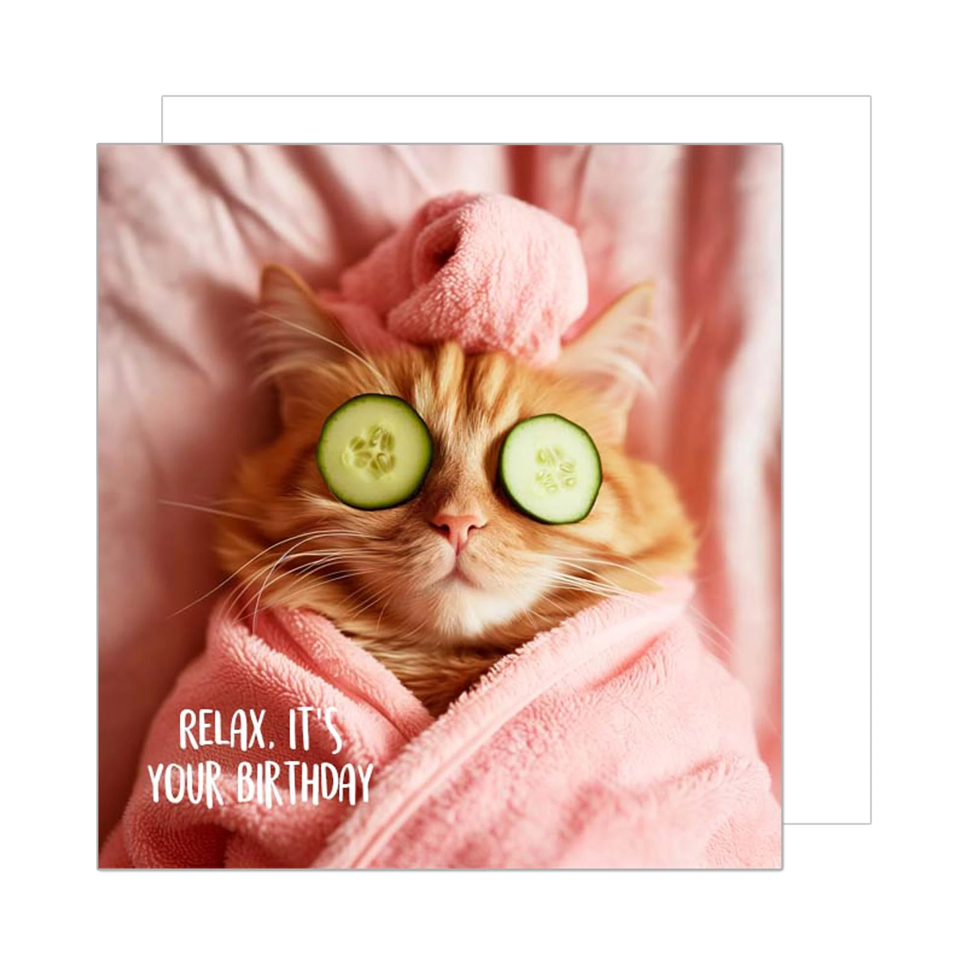 Edition Seidel Premium Square Birthday Card with Envelope Greeting Happy Birthday For Her Mum Female Girl Friend Colleague Teenager Cool Cat Relax (GQ150 SW024)