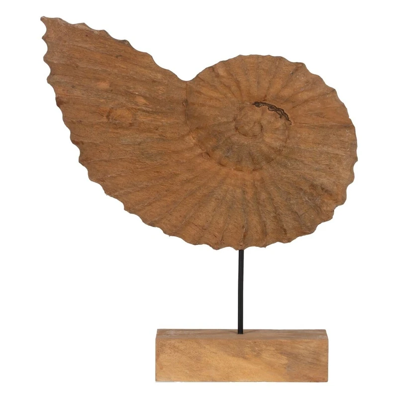 BigBuy Home Sculpture Conch Beige 49.5 x 9 x 53.5 cm - Image 1