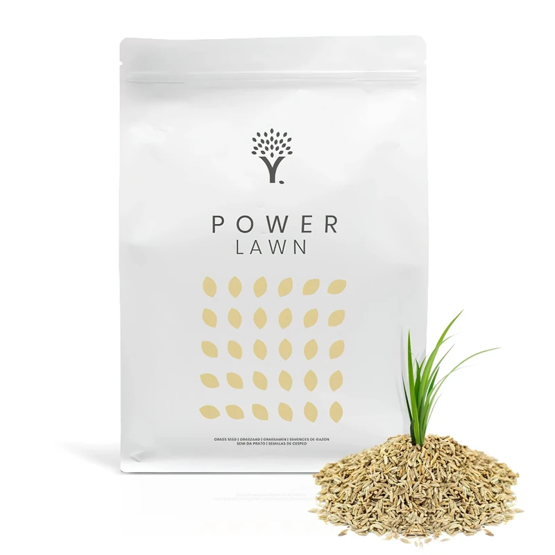 MOOWY Fast-Growing Grass Seed 15m² – Premium Lawn Seed for UK Lawns – Water-Saving Biostimulant Coating for 38% Better Germination – Hard-Wearing & Quick Sprouting in 14 Days