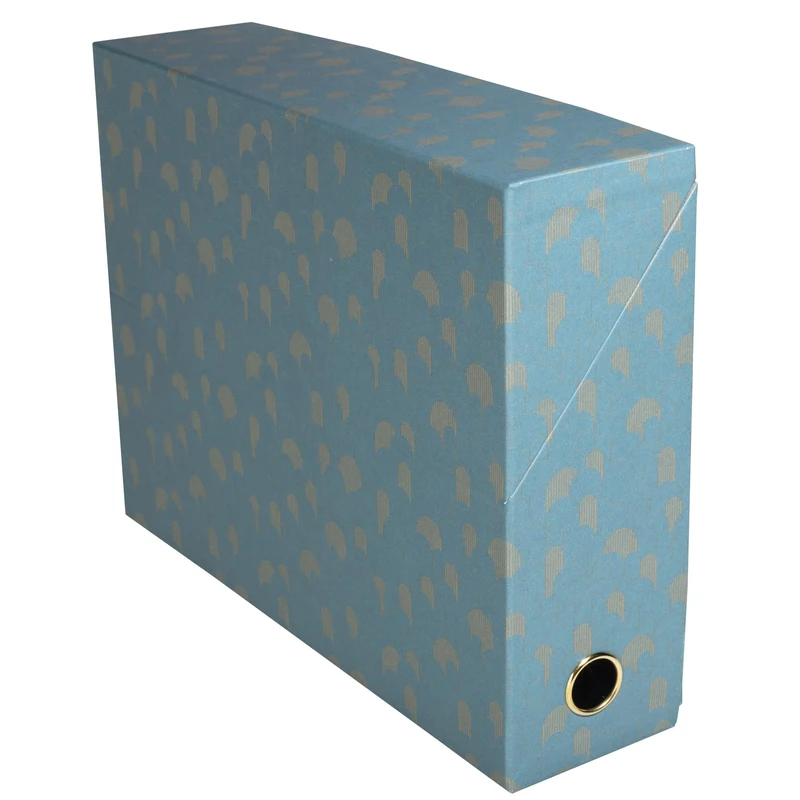 EXACOMPTA - Ref 89450E - Box of 5 Neo Deco Transfer Boxes - Spine 90 mm - Gold Grip Eye - Dimensions 25.5 x 9 x 34 cm - Adhesive Label Included - Assorted Colours - Delivered Assembled