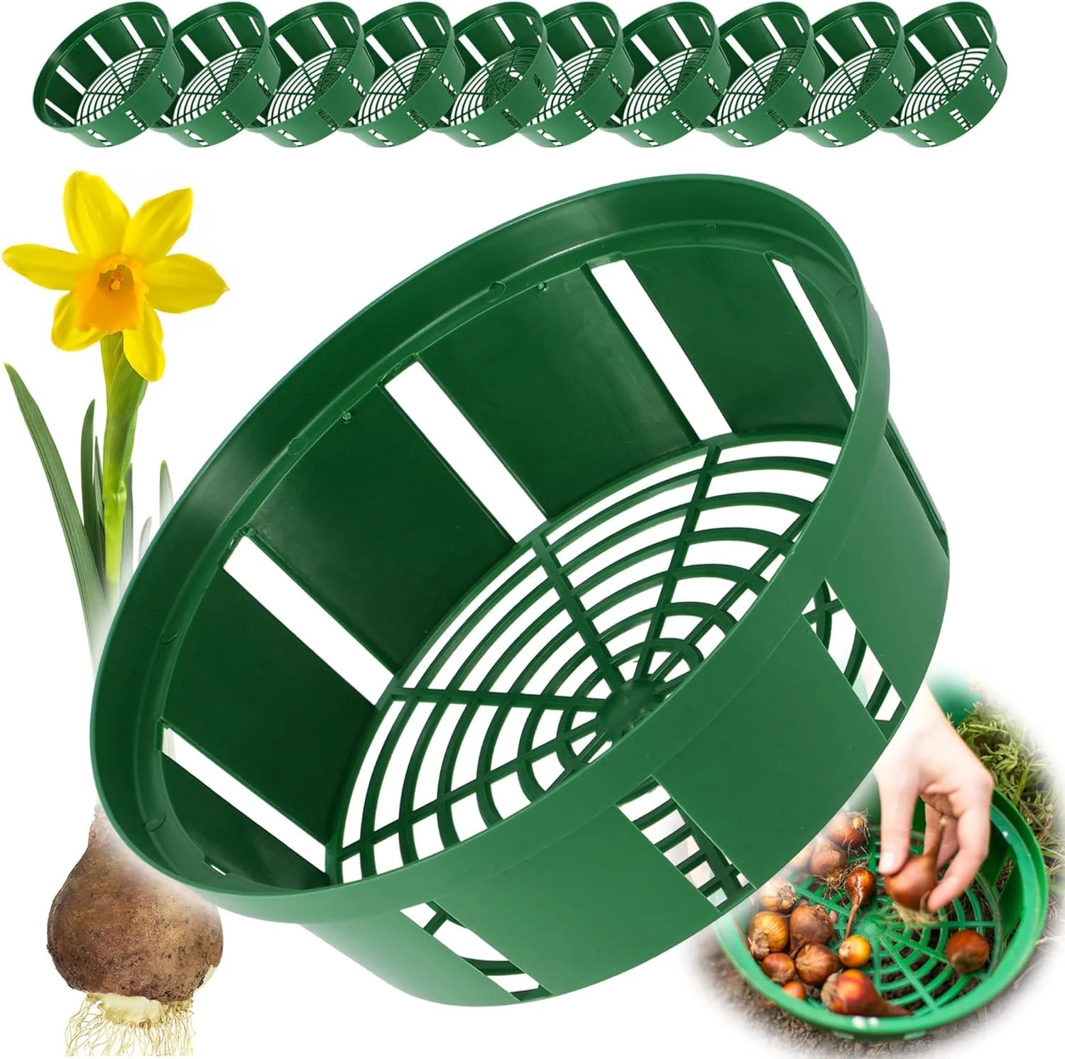 Bulb Baskets Daffodil Tulip Crocus Snowdrop Allium Easy Planter 20cm/23cm/26cm (23cm, 10)