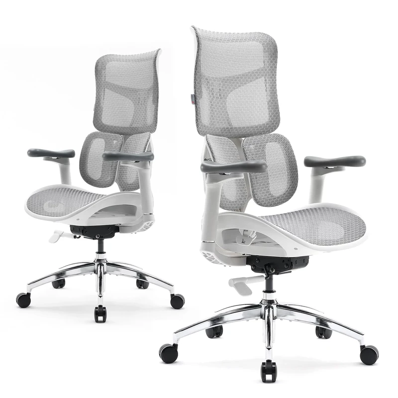 SIHOO Doro S100 Ergonomic Office Chair - with Dual Dynamic Lumbar Support, 5-Level Adjustable Backrest, 4D Coordinated Armrests, 135-degree Max. Recline Angle, Suitable for Home Office (S100 White)