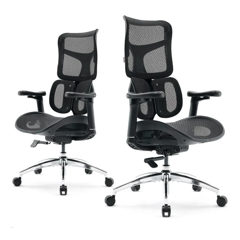 SIHOO Doro S100 Ergonomic Office Chair - with Dual Dynamic Lumbar Support, 5-Level Adjustable Backrest, 4D Coordinated Armrests, 135-degree Max. Recline Angle, Suitable for Home Office (S100 Black)