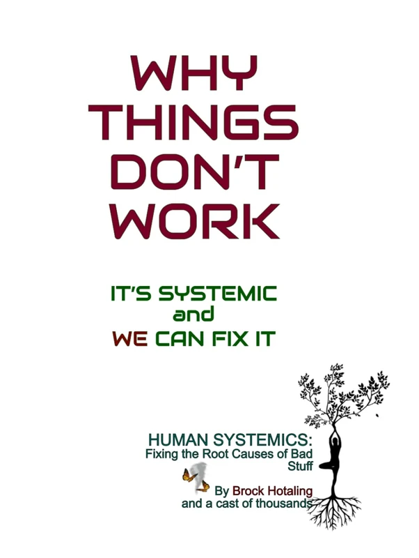 WHY THINGS DON'T WORK: It's Systemic..and... We Can Fix It - Image 1