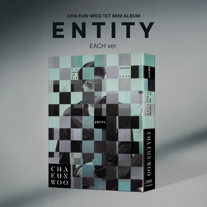 Entity (Each Version)
