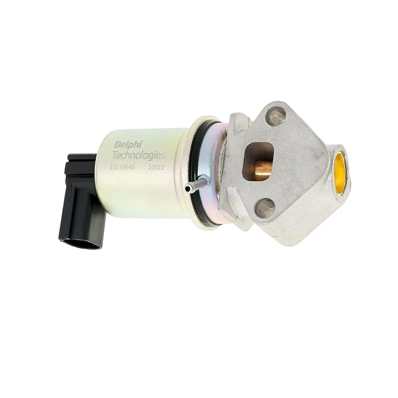 Delphi Technologies EG10646-12B1 EGR Valve