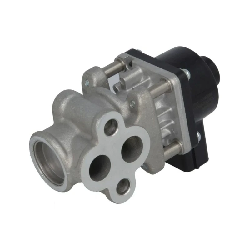 Delphi Technologies EG10611-12B1 EGR Valve