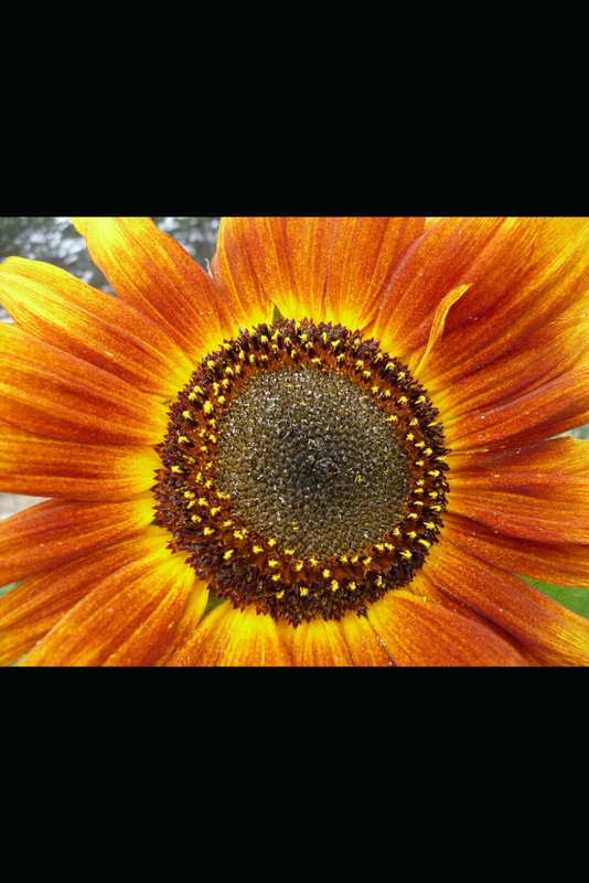 Imagination station : sketching Adventures for everyone.