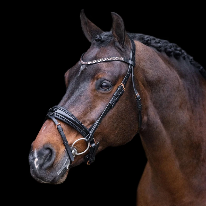 Imperial Riding IRH Olympia Bridle without Reins, Anatomical Headpiece, Calfskin Padding, Forehead & Noseband with Rhinestones, Buffalo Leather, Stainless Steel Fittings, Black/Rose Gold
