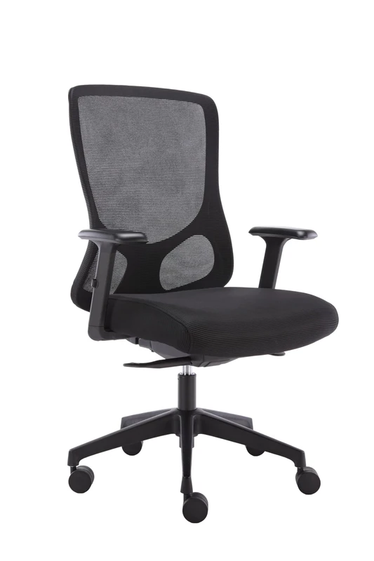 Mesh Desk Chair, Ergonomic Office Chair, Highly Adjustable Seat, Back and Arms For Extra Comfort, Computer Chair For Daily Use